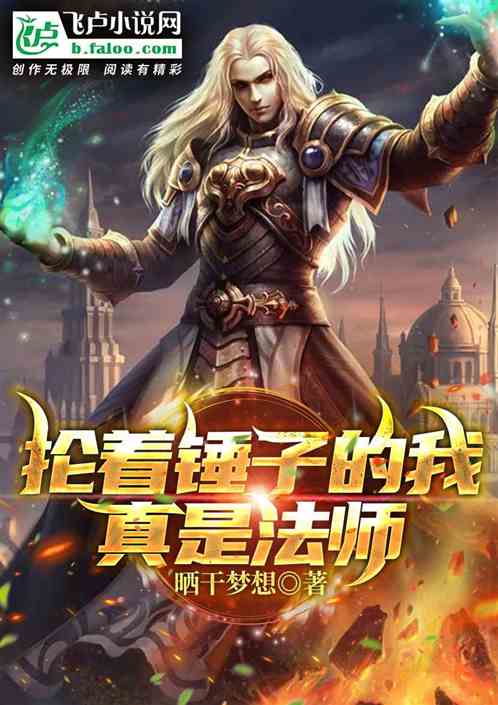 抡着锤子的我,真是法师！