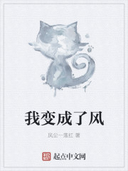 我变成了风